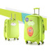 Чемодан большой Tasiro Ambassador Classic A8503L Green