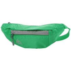 Сумка на пояс Onepolar W5661 Green